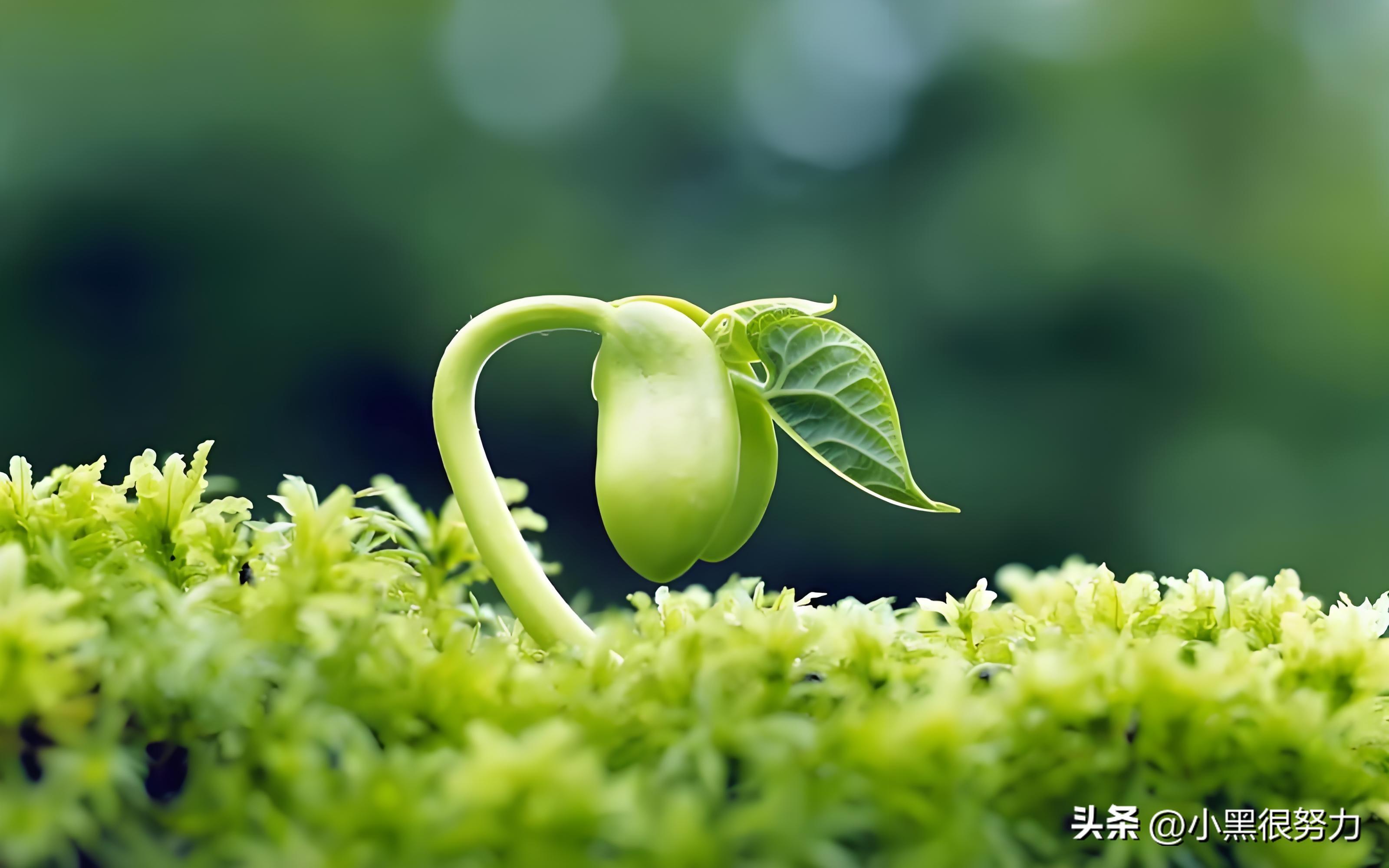 很拽很霸气的句子，炫酷又傲娇，让人过目难忘！