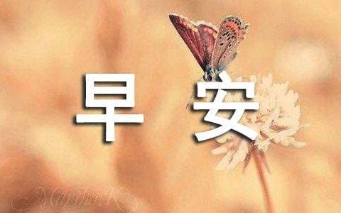 唯美早安文案30句